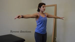 چرخش شانه‌ها