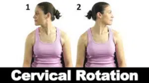 خم کردن گردن به طرفین