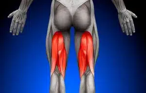 کوتاهی همسترینگ